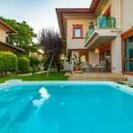 Vista
